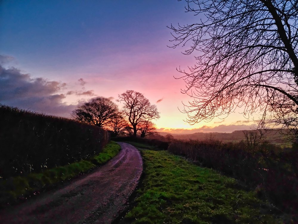 A quiet country path curving gently toward a sunrise sky of deep blue, soft pink, and gold.